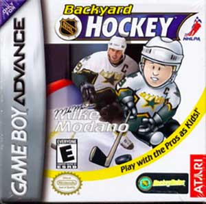 Backyard Hockey