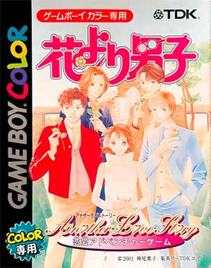 Hana Yori Dango - Another Love Story