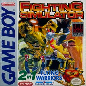 Hiryuu no Ken Gaiden