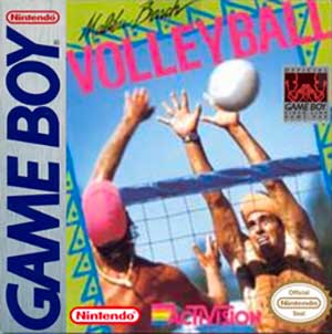 Seaside Volley