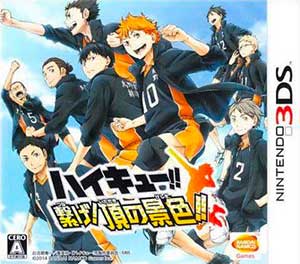 Haikyu!! Tsunage! Itadaki no Keshiki!!