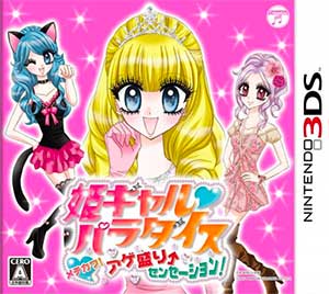 Hime Girl Paradise - Mechikawa! Agemori Sensation!