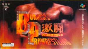 Gekitou Burning Pro Wres