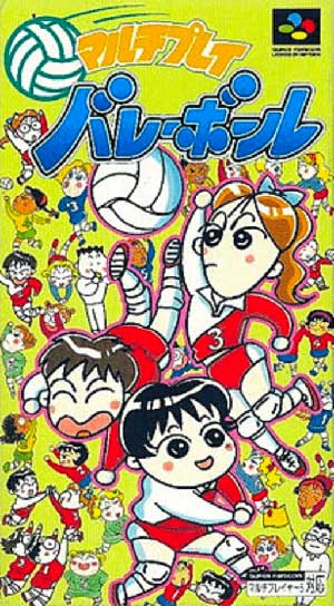 Multi Play Volleyball