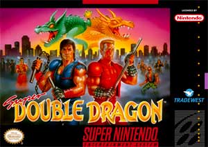 Super Double Dragon