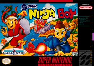 Super Ninja Boy